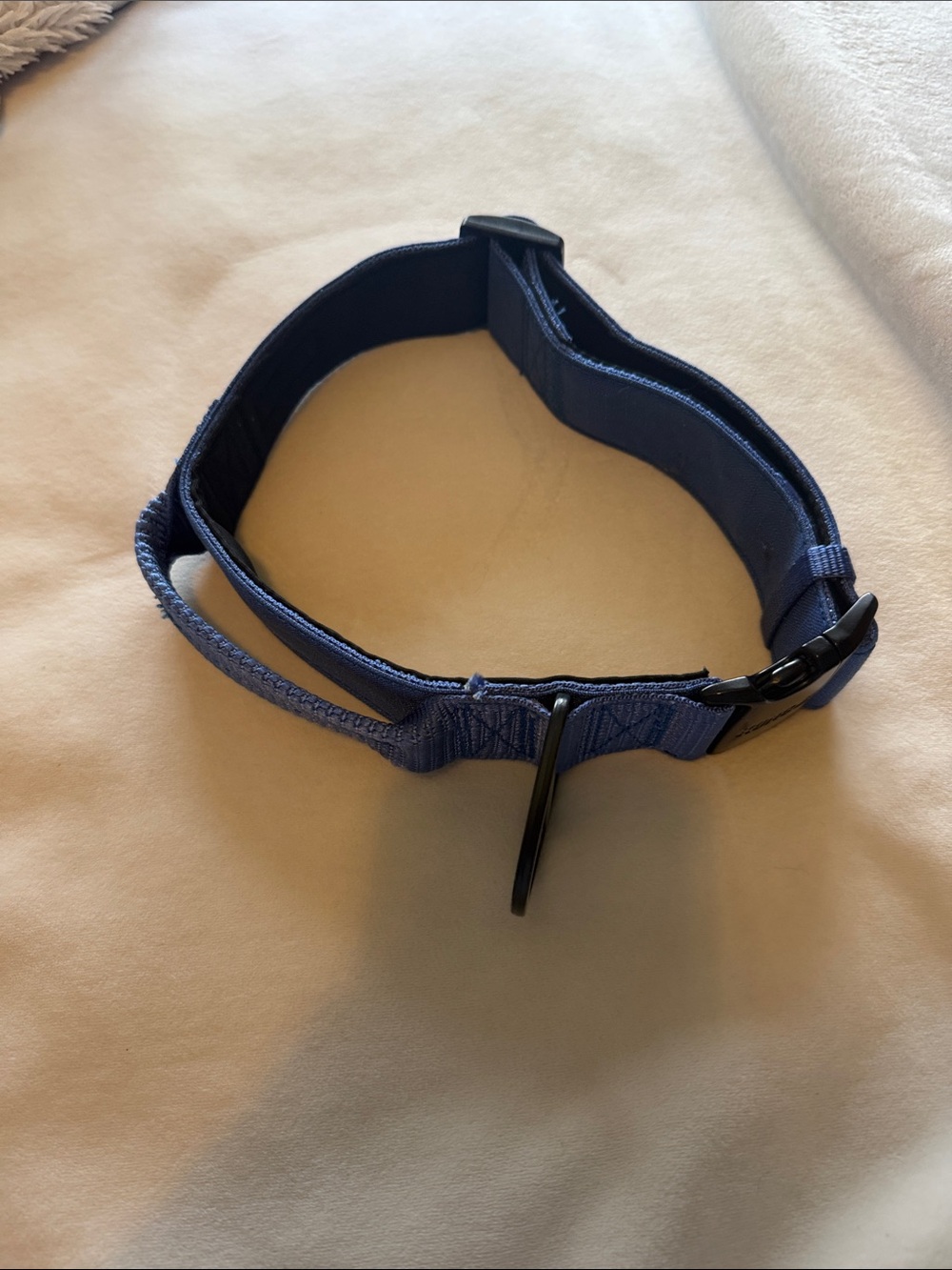 Kong Blue Adjustable Dog Collar